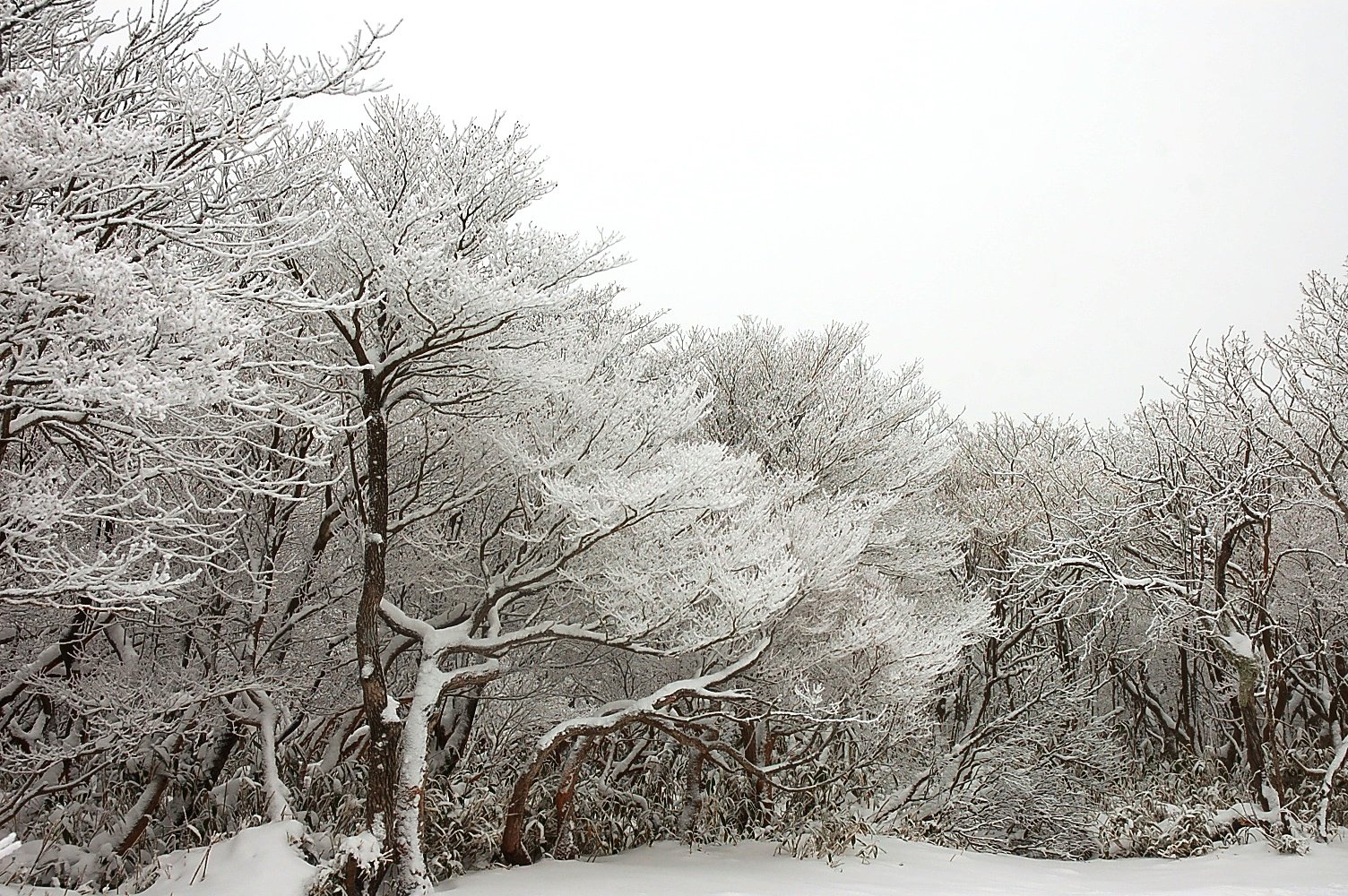 山頂の景色