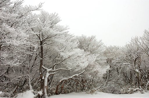 山頂の景色
