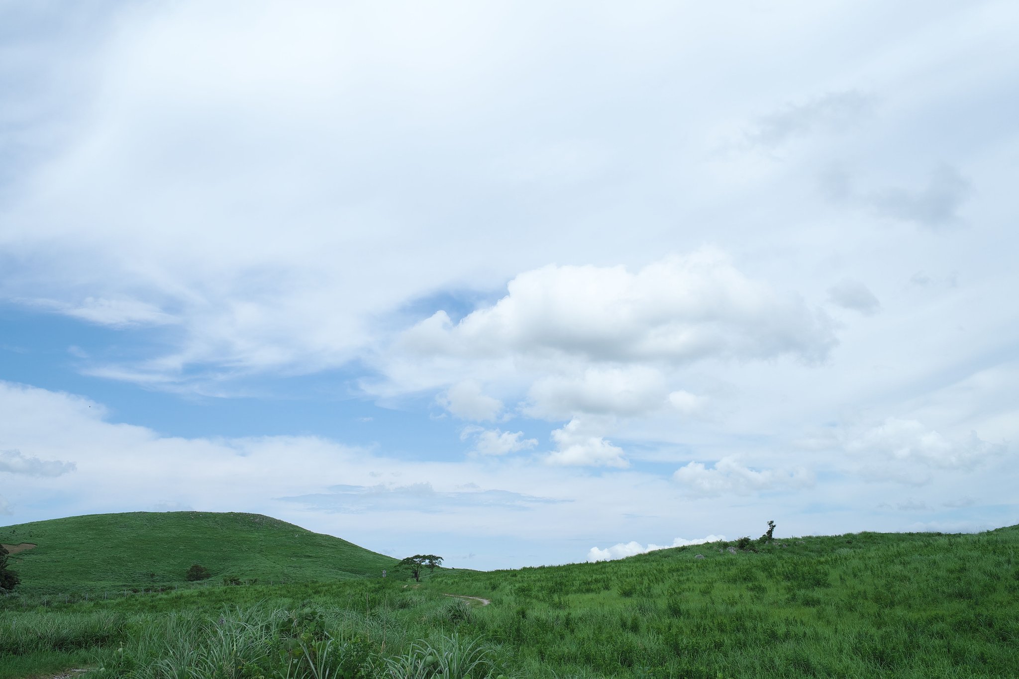 【雲】　11　12月投稿ありがとうございました