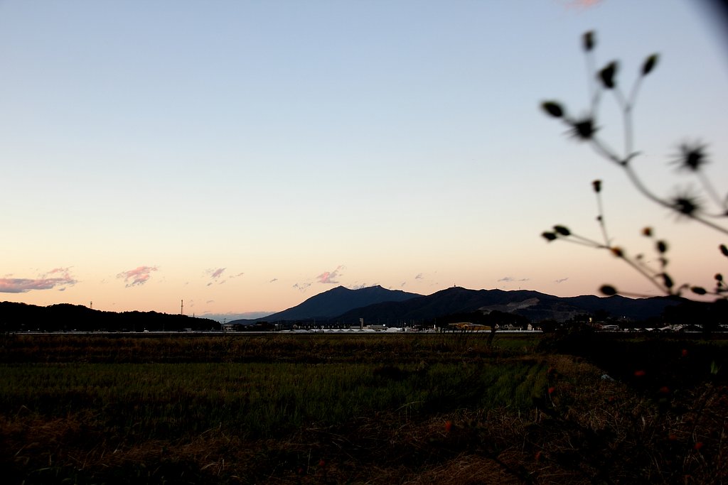 夕暮れの紫峰