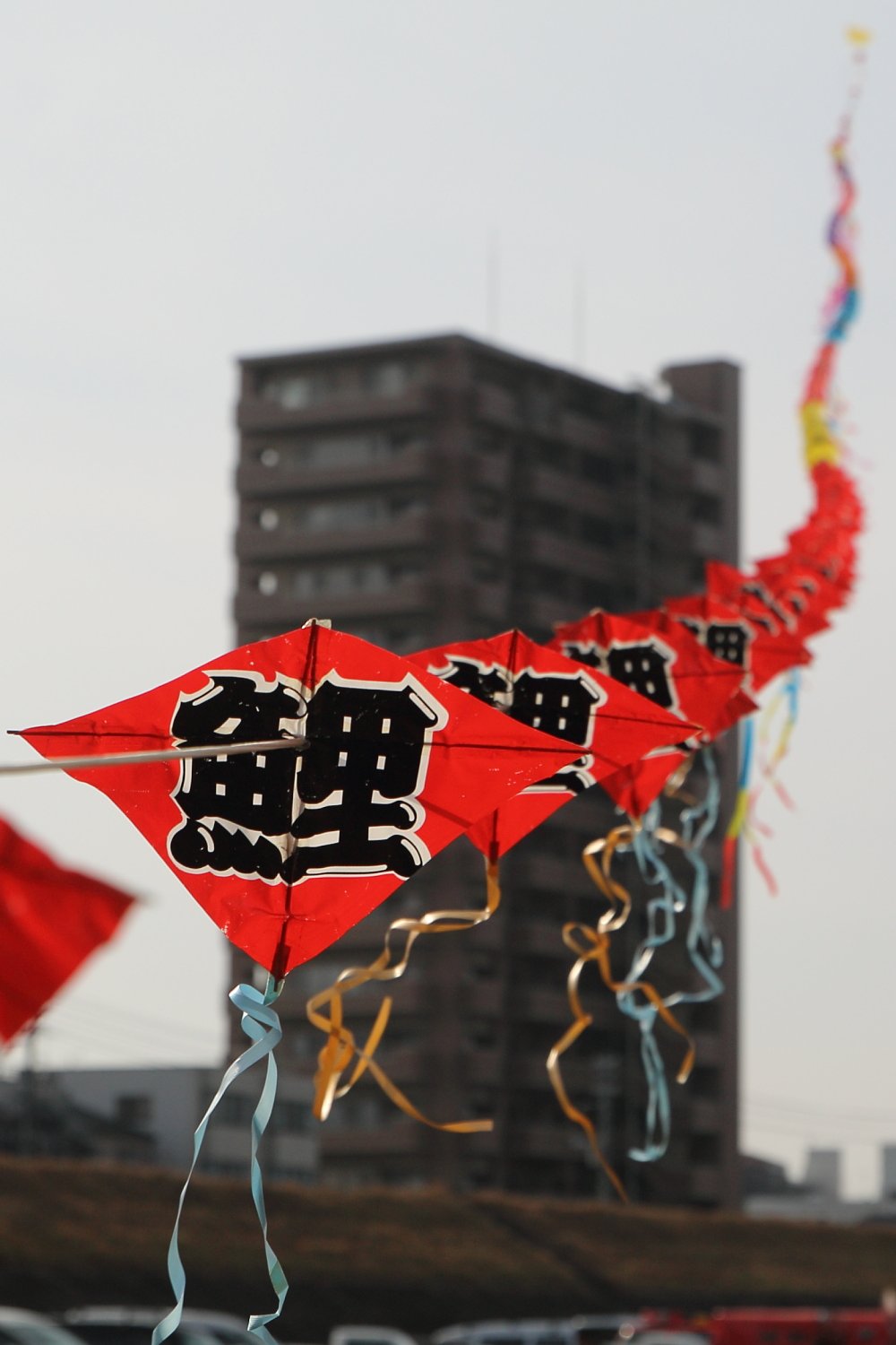 連ダコ！遠近感