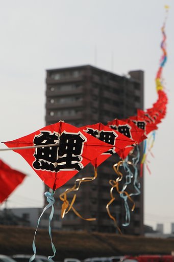 連ダコ！遠近感