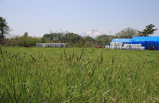 岩手にて：あぜ道の風景