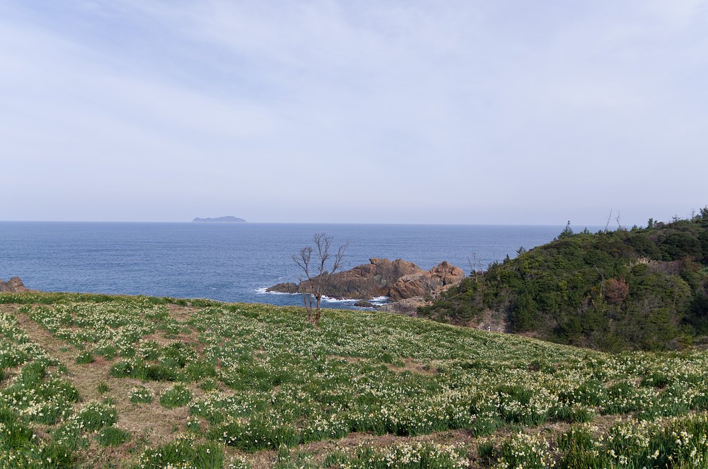 SIGMA 17-70mm F2.8-4 