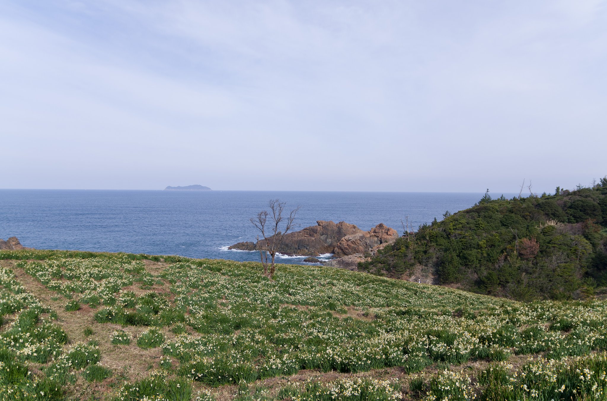 SIGMA 17-70mm F2.8-4 