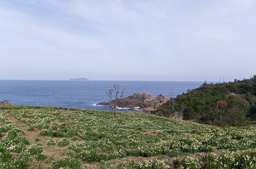 SIGMA 17-70mm F2.8-4 