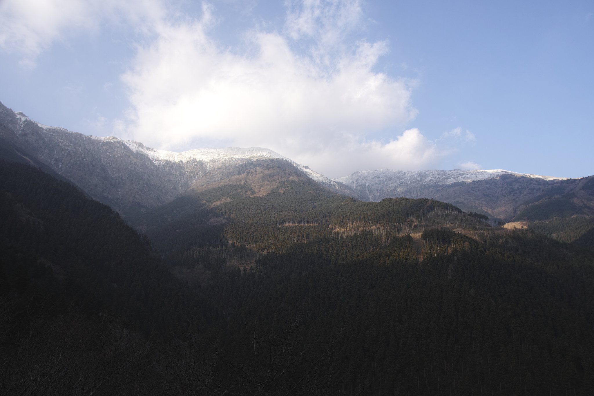 シグマSD1クワトロの動向