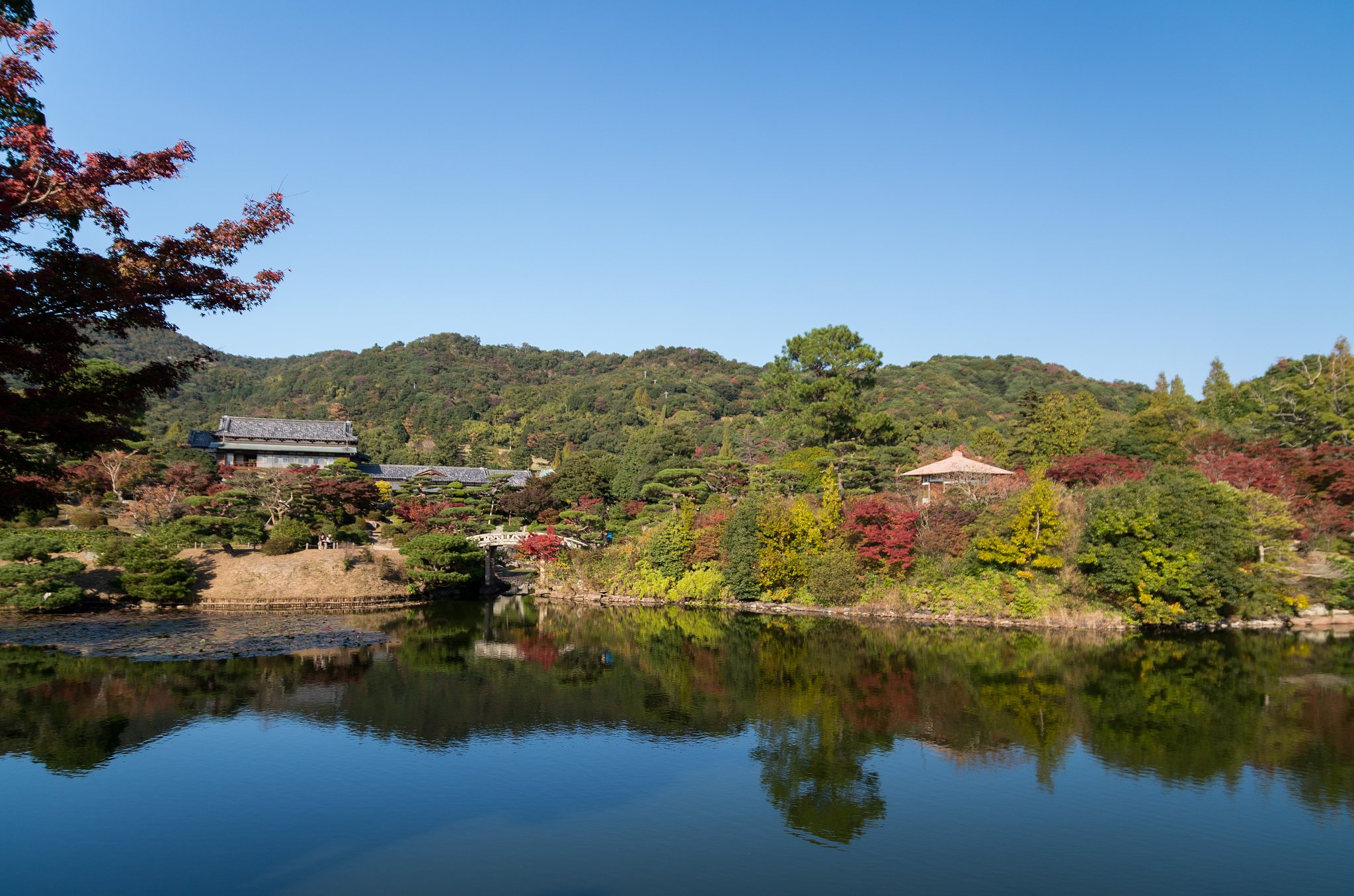 庭園