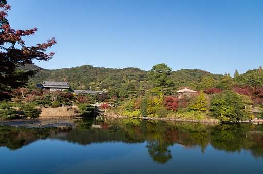 庭園