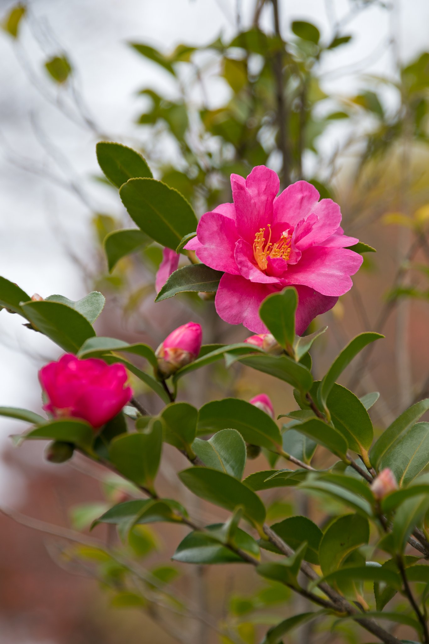 TAMRON 28-300mm F/3.5-6.3 VC PZD Di A010N