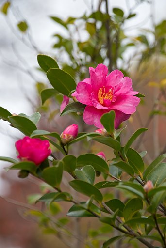 TAMRON 28-300mm F/3.5-6.3 VC PZD Di A010N