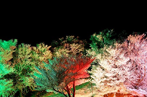 山のクリスマス前夜