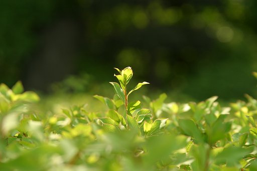 ぽかぽかスッ