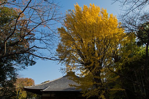 EF16-35mm F2.8 L USM