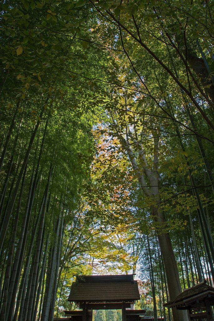 EF16-35mm F2.8 L USM
