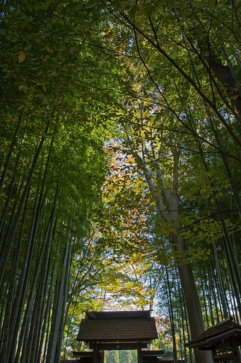 EF16-35mm F2.8 L USM