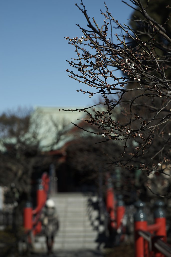 Sonnar 1:2 f=85mm