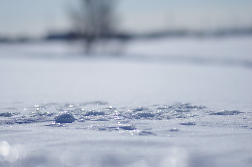 吹雪の後