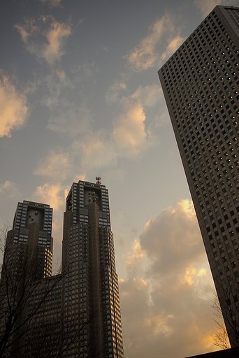 お約束の風景