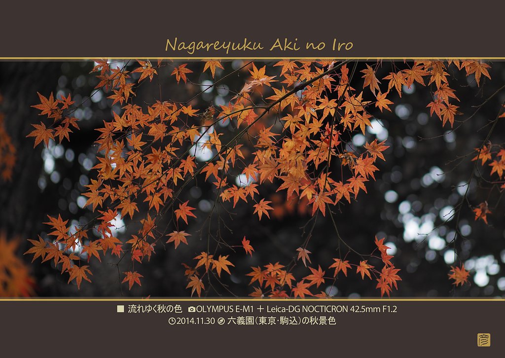 「六義園紅葉」三部作その2