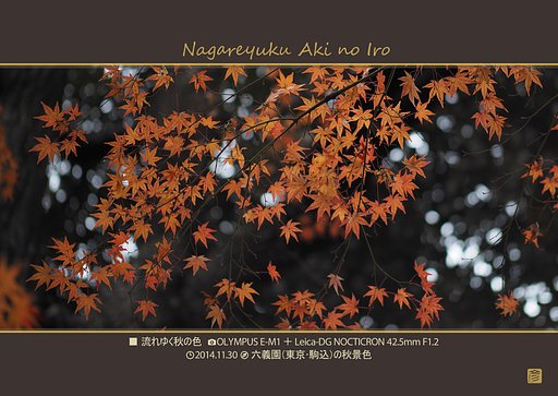 「六義園紅葉」三部作その2