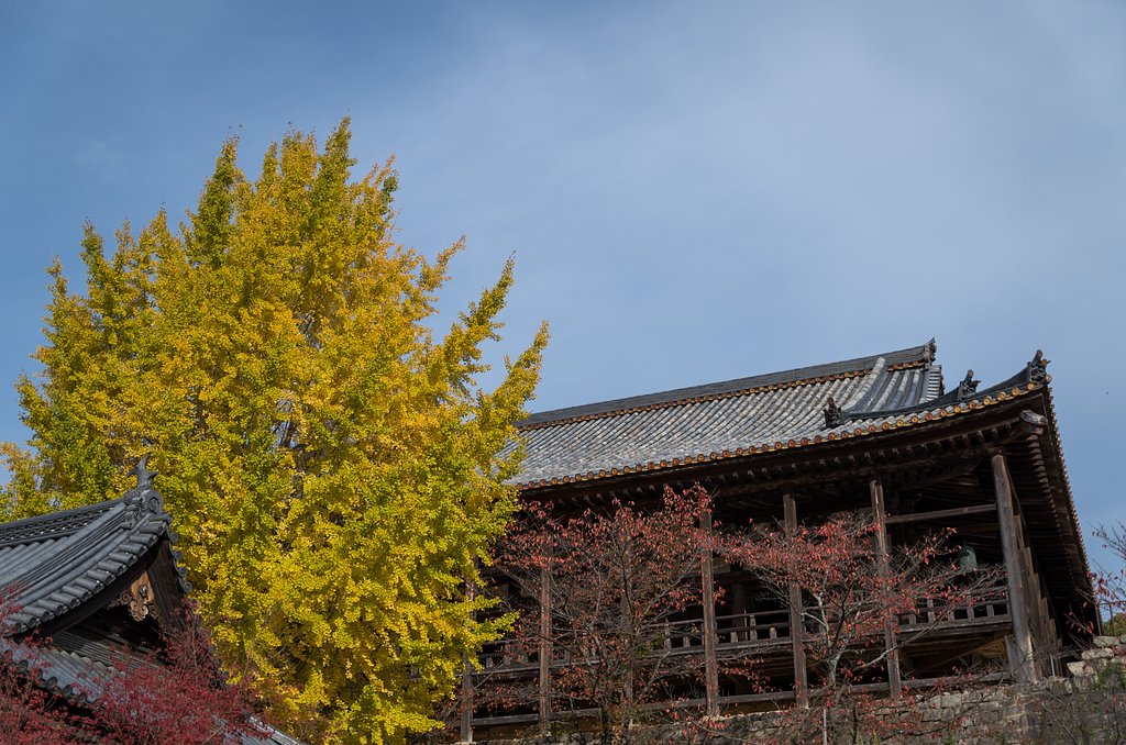 SIGMA 17-70mm F2.8-4 