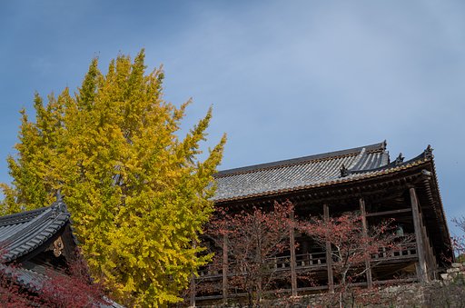 SIGMA 17-70mm F2.8-4 