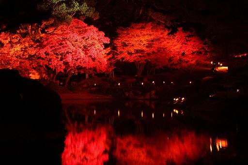大人の時間