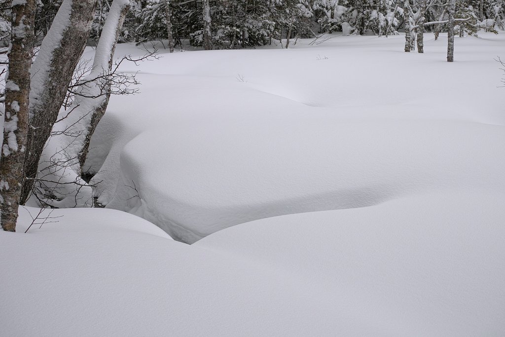 新雪