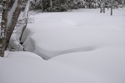 新雪