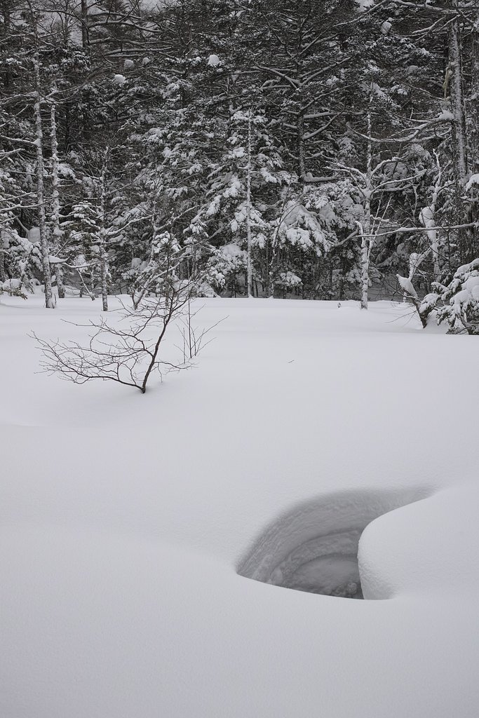 穴雪