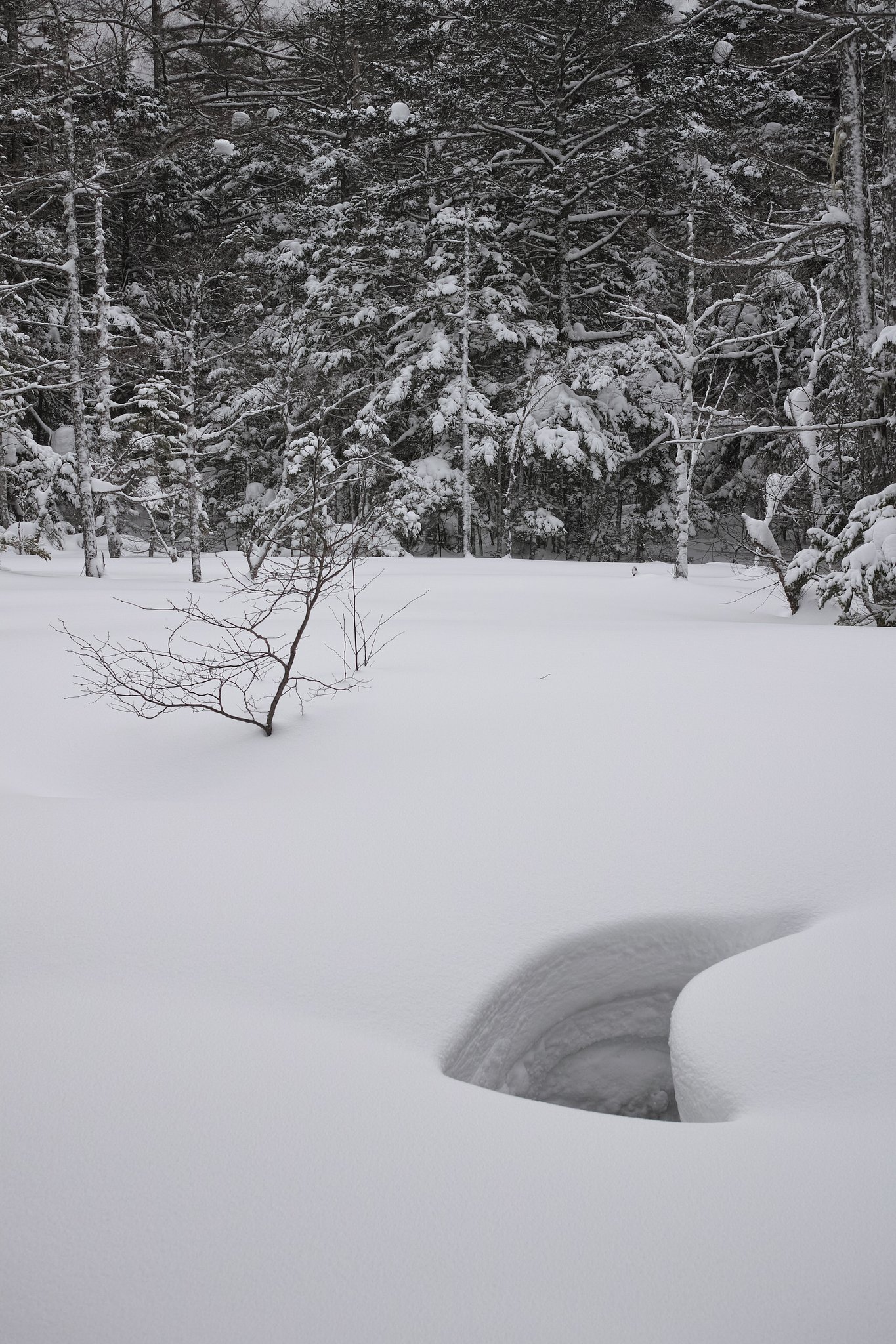 穴雪