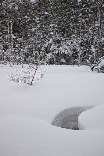 穴雪