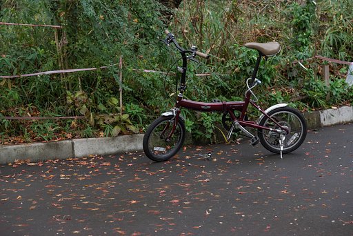 自転車の下に