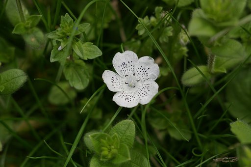 貼り逃げ御容赦です　Ⅱ