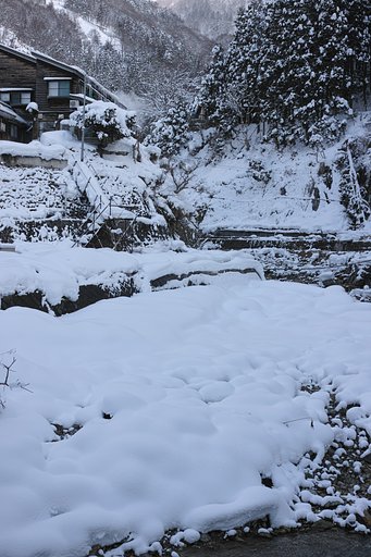 お寒い写真