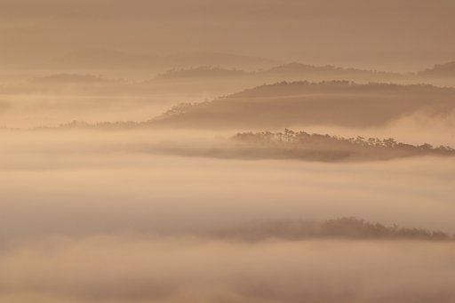 霞か靄か