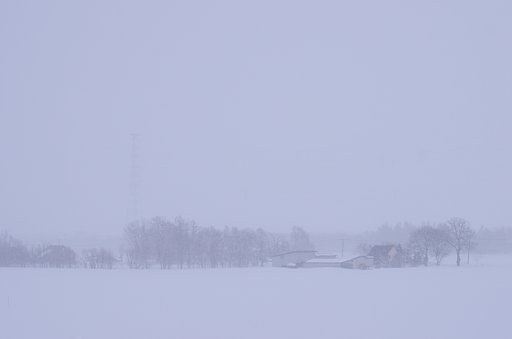 white out