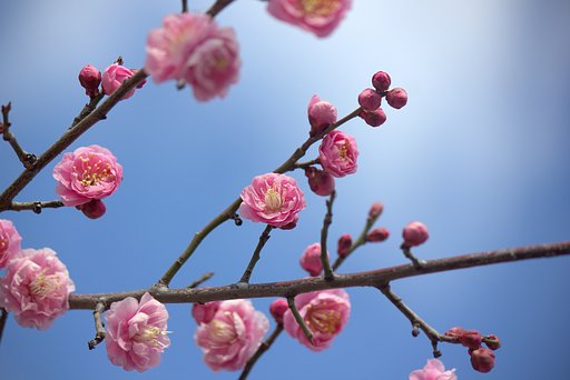 空
