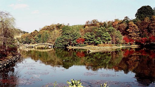 晩秋の公園２
