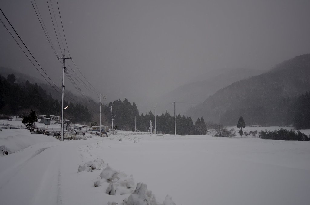吹雪に・・。