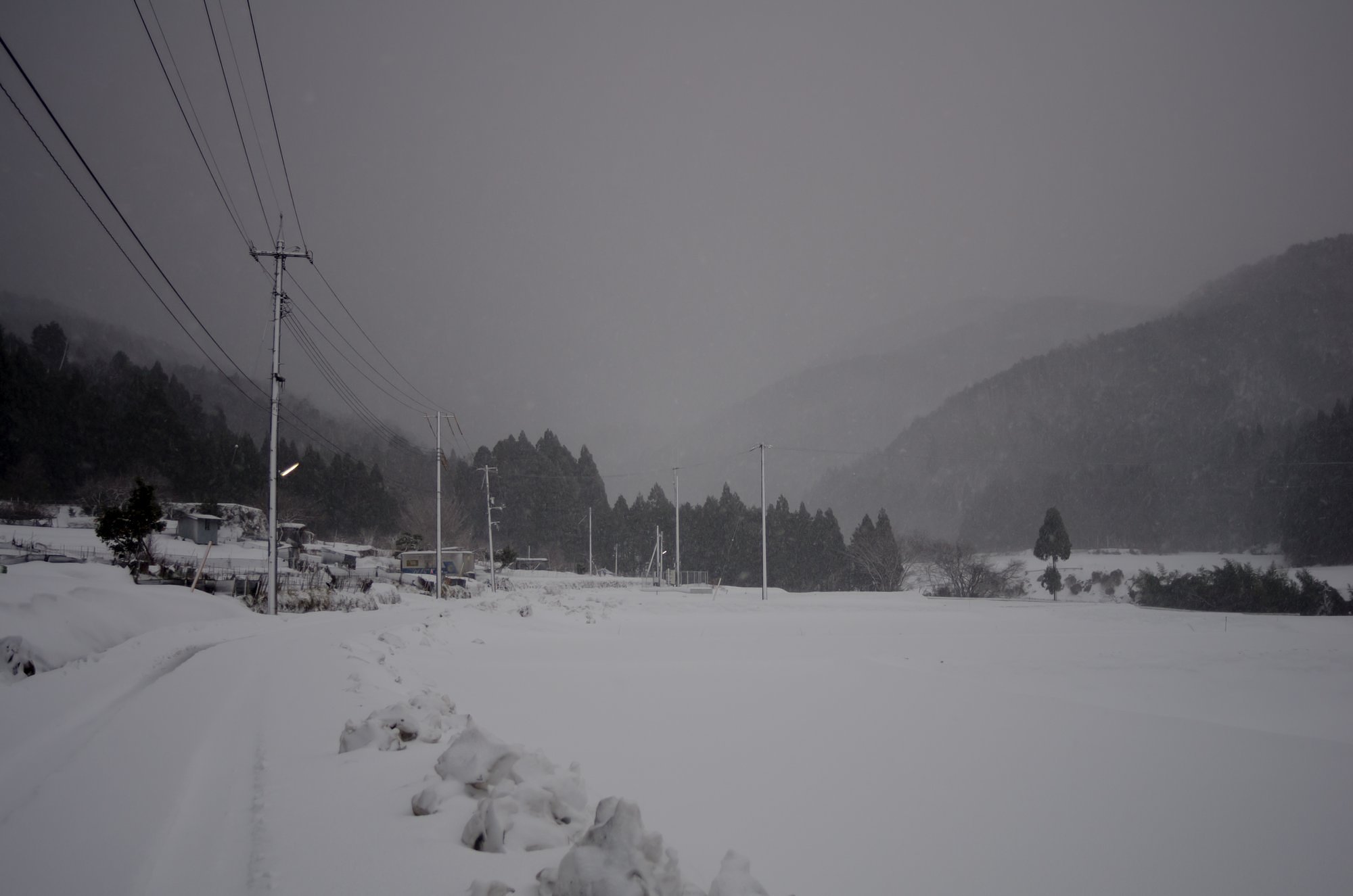 吹雪に・・。