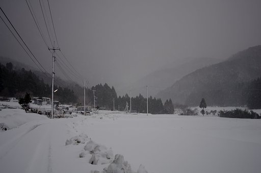 吹雪に・・。