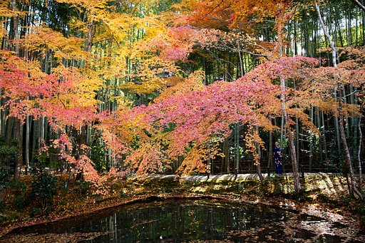 名残の紅葉