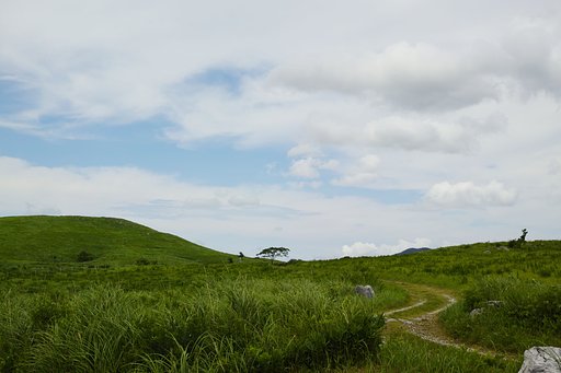 ゆく年