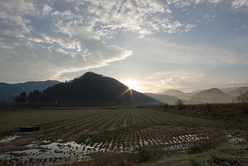 朝日のダイアモンド。