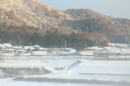 冬を走る