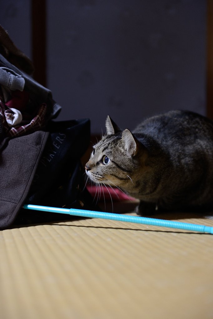 狙いを定めて・・