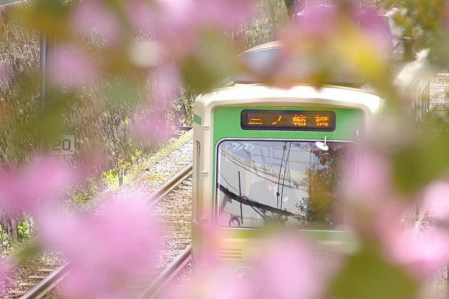花電車
