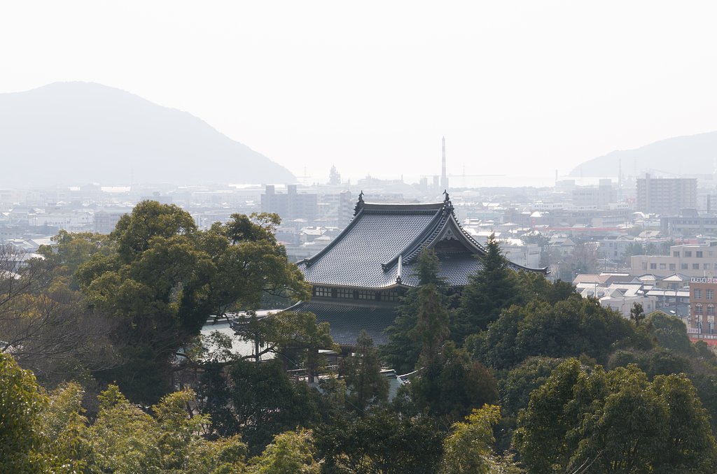 靄